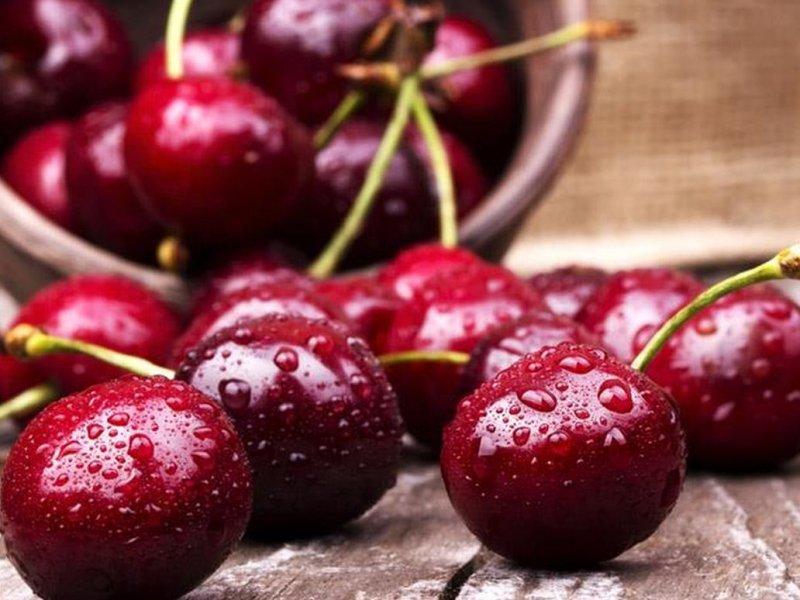 Вишня купить саженцы из питомника в Армавире